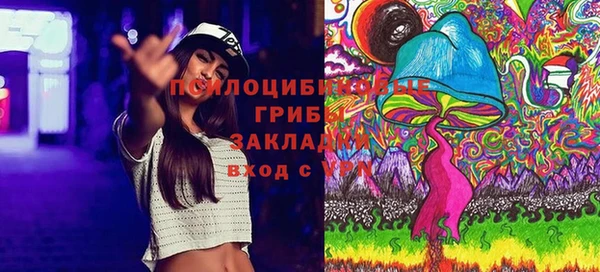 apvp Вязьма