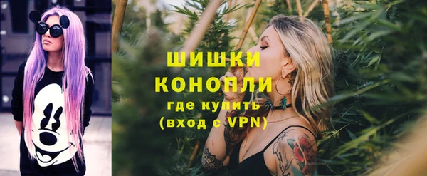 соль ск Горно-Алтайск
