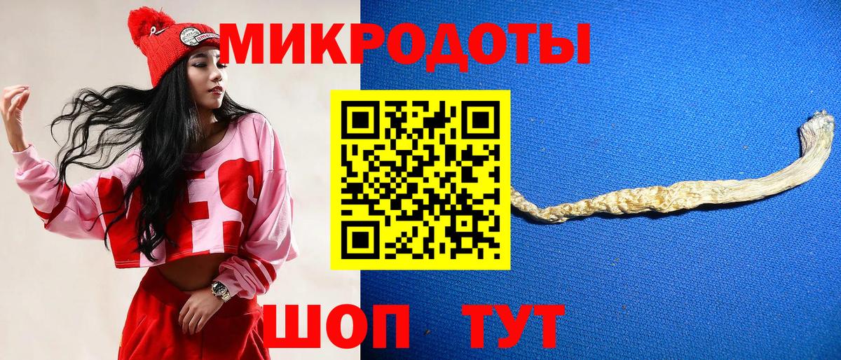 Псилоцибиновые грибы Psilocybe  Гулькевичи 