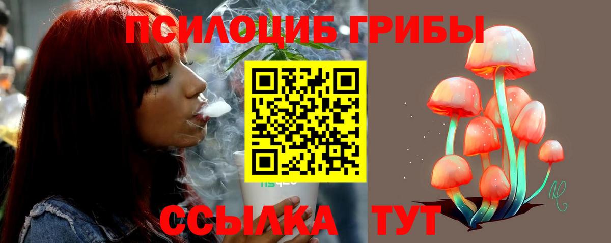 Псилоцибиновые грибы Cubensis  Галлюциногенные грибы прущие грибы  Вход с VPN  где продают   Гулькевичи 